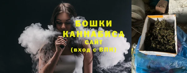 PSILOCYBIN Покачи